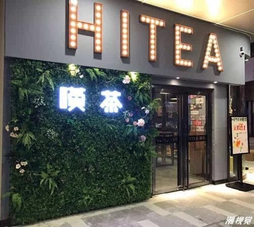 鲸鱼直播